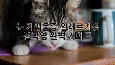 눈 가려움증? 알레르기성 결막염 완벽 가이드