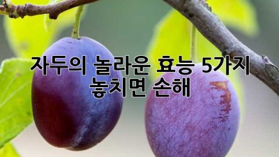 ✨ 자두의 놀라운 효능 5가지! 놓치면 손해 🍒