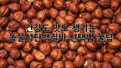 💪 건강도 맛도 챙기는 동물성단백질바 선택법 꿀팁! 🍯