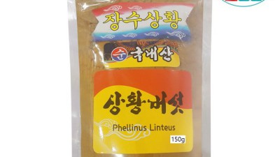 득템 찬스! 상황버섯차 솔직 후기 & 꿀팁🍯